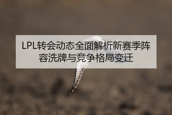 LPL转会动态全面解析新赛季阵容洗牌与竞争格局变迁